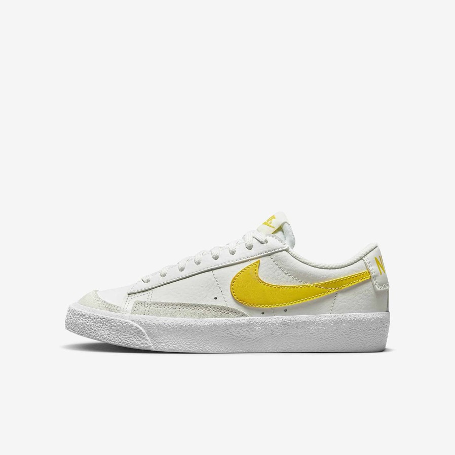 Kinder Nike Dunks Und Blazer | Nike Blazer Low '77